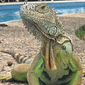 Meet your Posher, Nancy